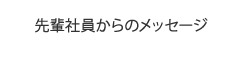 先輩社員からのメッセージ